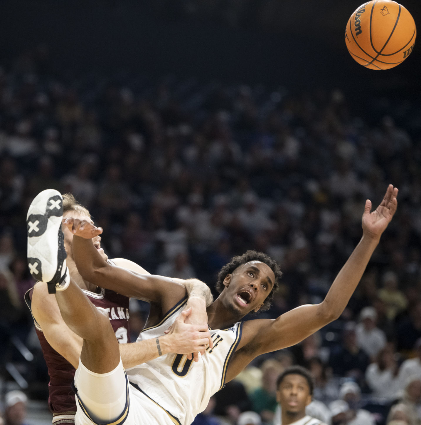 Brawl of the Wild basketball 38.JPG